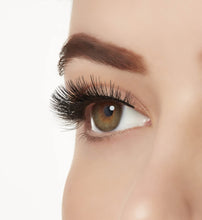 Ardell Aqua Lashes - A1 Great Deals - Ardell - 074764634016
