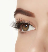 Ardell Aqua Lashes - A1 Great Deals - Ardell - 074764634023