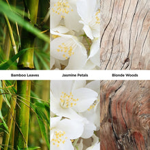 Revlon Women's Eau de Toilette Spray, 8.0 fl oz - A1 Great Deals - Revlon - 309970091293